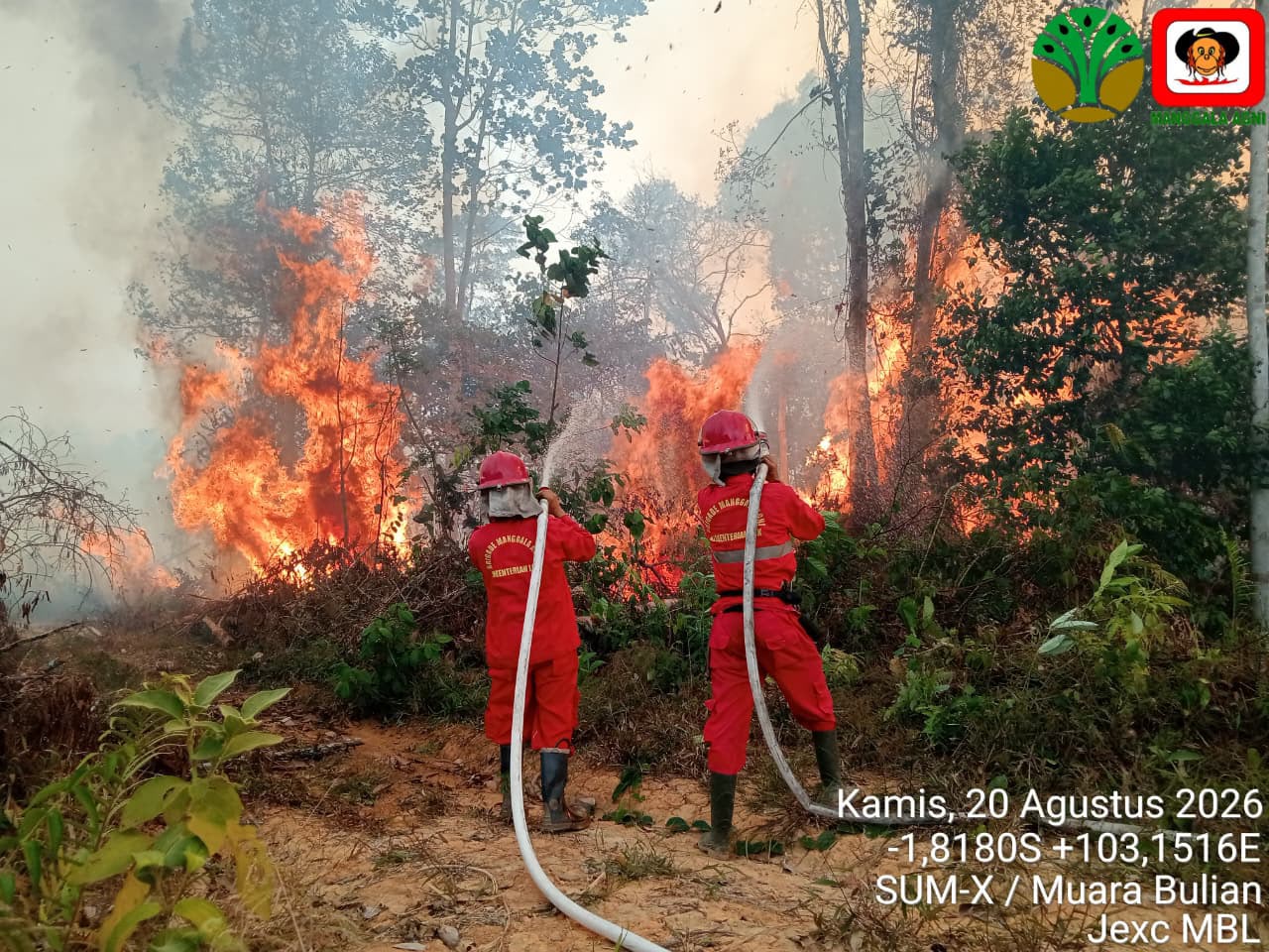 Kabar PAUD - Keselamatan Murid Korban Karhutla Prioritas, Pembelajaran Adaptif Diterapkan; Diterbitkan Protokol Darurat Asap, Aktifkan Posko Bencana dan Fleksibilitas Penggunaan Dana BOS/BOP